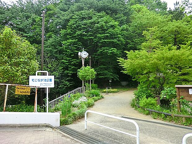 むじなが池公園（約700m）