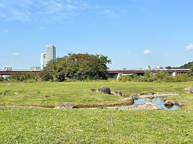 多摩川緑地（約700m）
