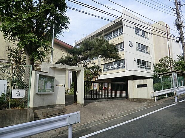 川崎市立西有馬小学校(約1,100m)