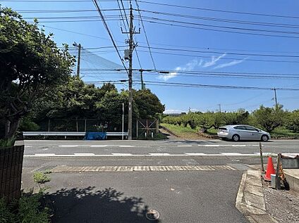 現地前面道路