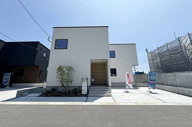 3号地現地写真(6月撮影)