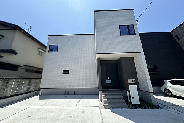 3号地　現地写真（6月撮影）
