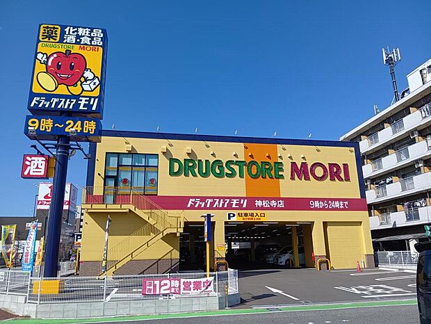 ドラッグストアモリ神松寺店
