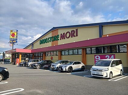 ドラッグストアモリ堤店 約511m(徒歩7分)