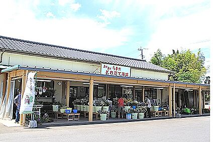 よかよかうまかとれたて市場嘉島店 徒歩160m