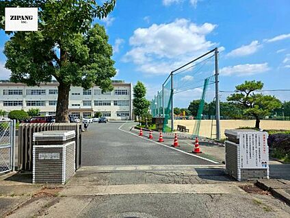 菊池市立隈府小学校 徒歩1117m