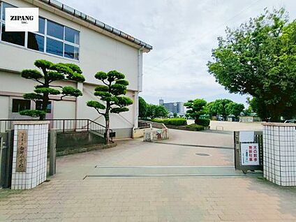 熊本市立白坪小学校 徒歩462m