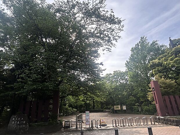 杉並区立井草森公園