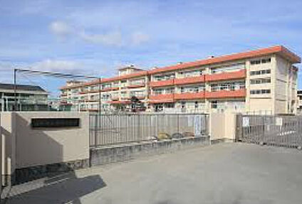 高崎市立塚沢小学校 徒歩241m