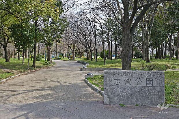志賀公園(約320m)