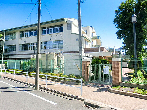 緑野小学校