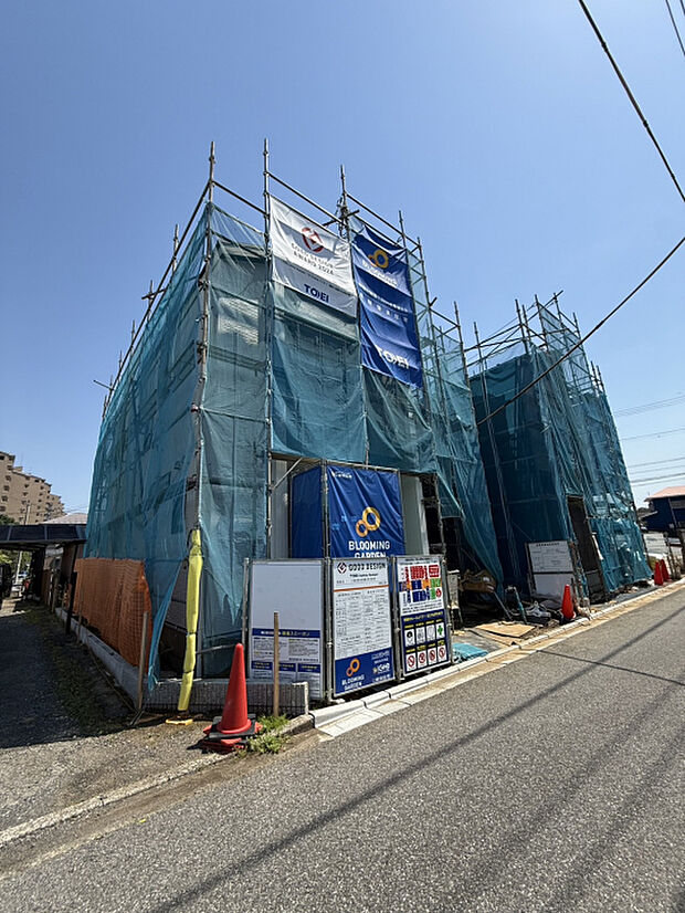 5月中旬撮影
