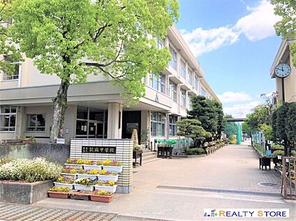 熊本市立託麻中学校 1100m