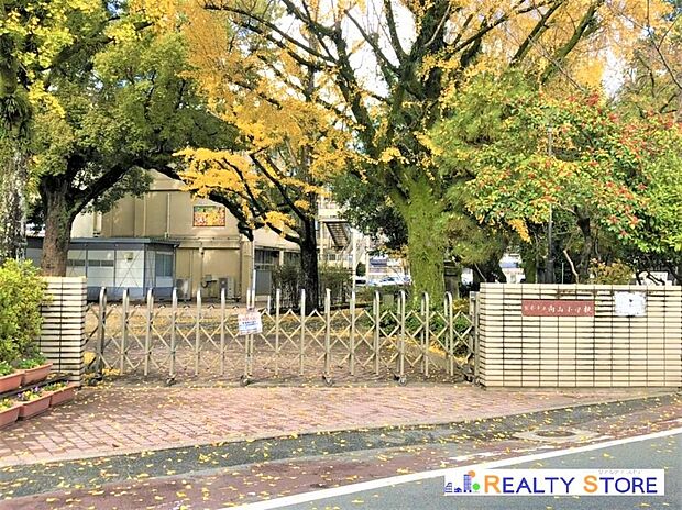 熊本市立向山小学校(約500m)