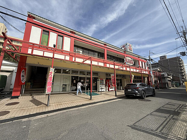 ビッグナラ　