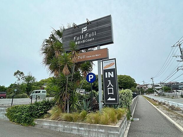 フルフル風の森