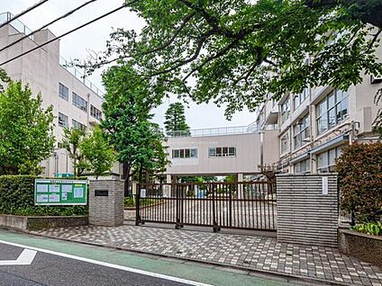 練馬区立石神井南中学校 1100m (徒歩14分)