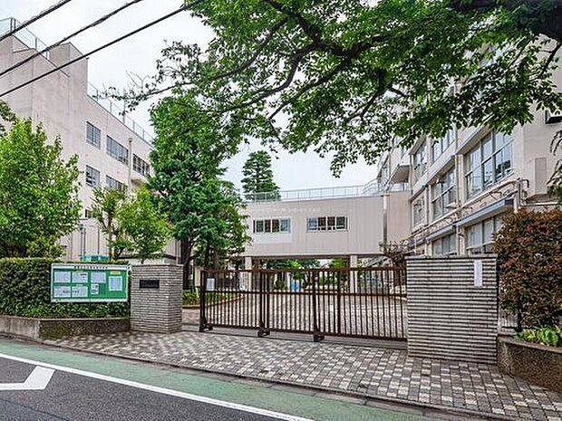 練馬区立石神井南中学校(約1,100m)