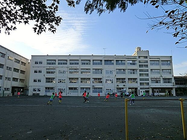 横浜市立深谷小学校(約1,000m・徒歩13分)