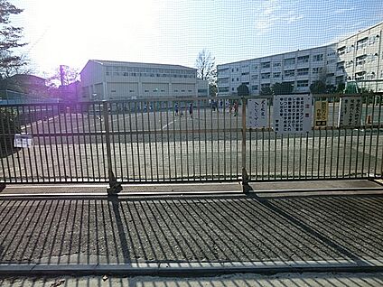 横浜市立小雀小学校 900m(12分)