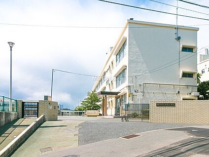 横浜市立今宿小学校 260m(4分)