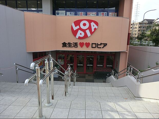 ロピア港北インター店(約2,200m・徒歩28分)