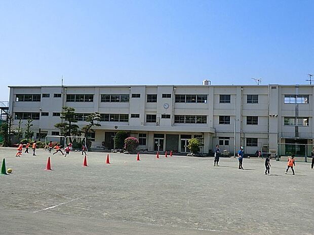 茅ヶ崎市立鶴嶺小学校(約450m・徒歩6分)