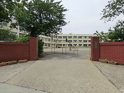 三浦市立三崎小学校 260m(4分)
