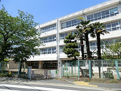 横須賀市立城北小学校 600m(8分)