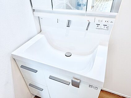 ハンドシャワー付洗面台