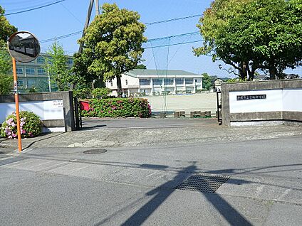 平塚市立金旭中学校 2000m(25分)