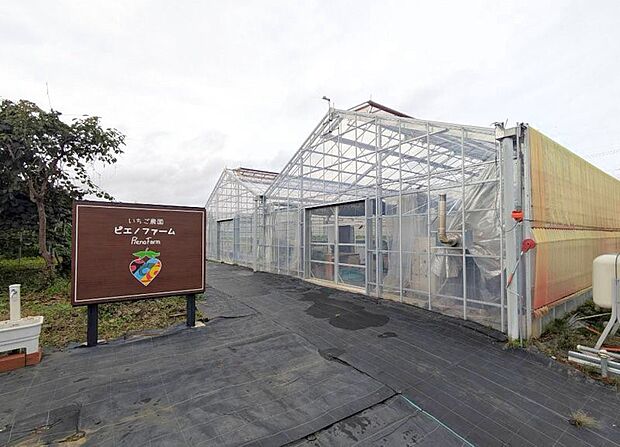 いちご農園 ピエノファーム(約850m・徒歩11分)