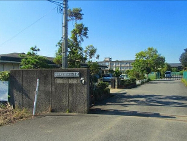 桜井市立纒向小学校（約535m）
