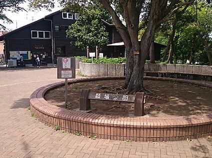 踊場公園 1070ｍ