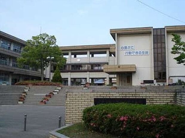 中央台北中学校（約1m）