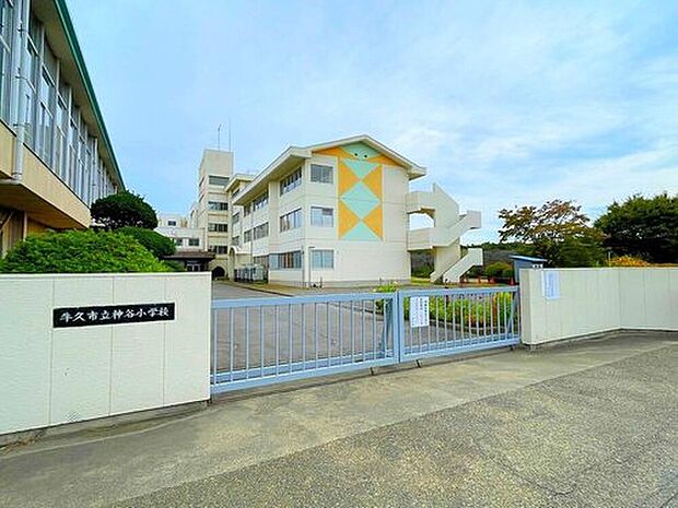 牛久市立神谷小学校（約1,800m）
