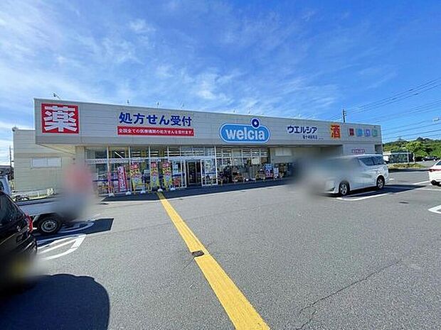 ウエルシア龍ケ崎馴馬店(約1,530m)