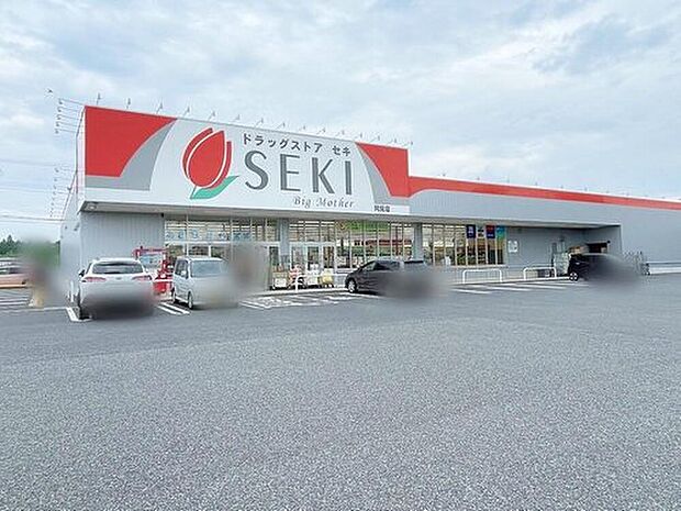 ドラッグストアセキ阿見店(約1,600m)