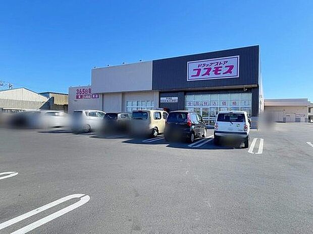 ディスカウントドラッグコスモス平須店（約810m）