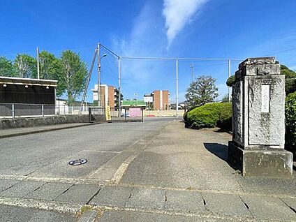 石岡市立石岡中学校 1300m (徒歩17分/自転車6分)