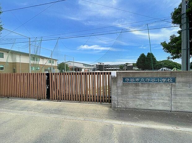 守谷市立守谷小学校(約1,200m)