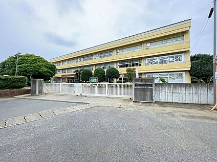 石岡市立杉並小学校 1120ｍ(徒歩14分)