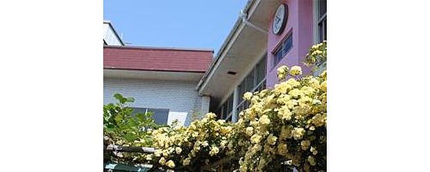 認定こども園へいわ幼稚園（約562m）