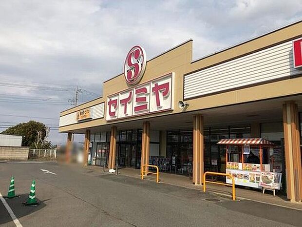 セイミヤ成田芝山店（約761m）
