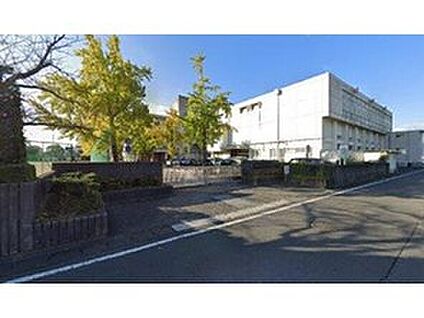 本巣市立真正中学校 784ｍ(徒歩10分)