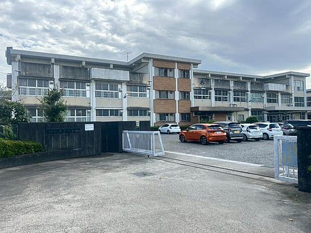 岐阜市立厚見中学校（約600m）