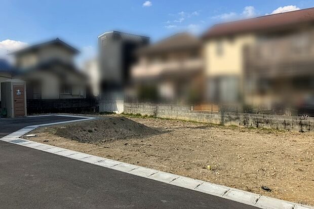 現地写真