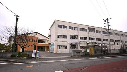 徳島市立城東小学校 徒歩600m