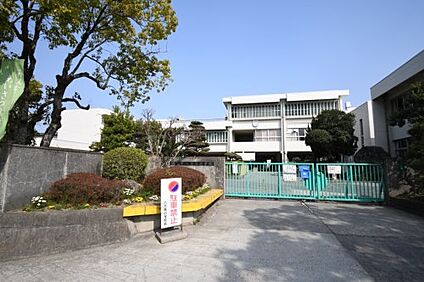 徳島市立八万南小学校 徒歩420m