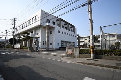 徳島市立八万中学校 徒歩1573m